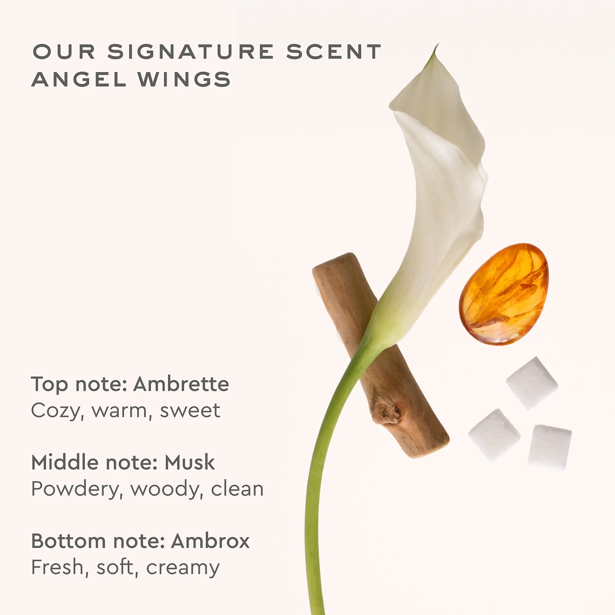 Angel Hold™ Styling Cream - Image 6